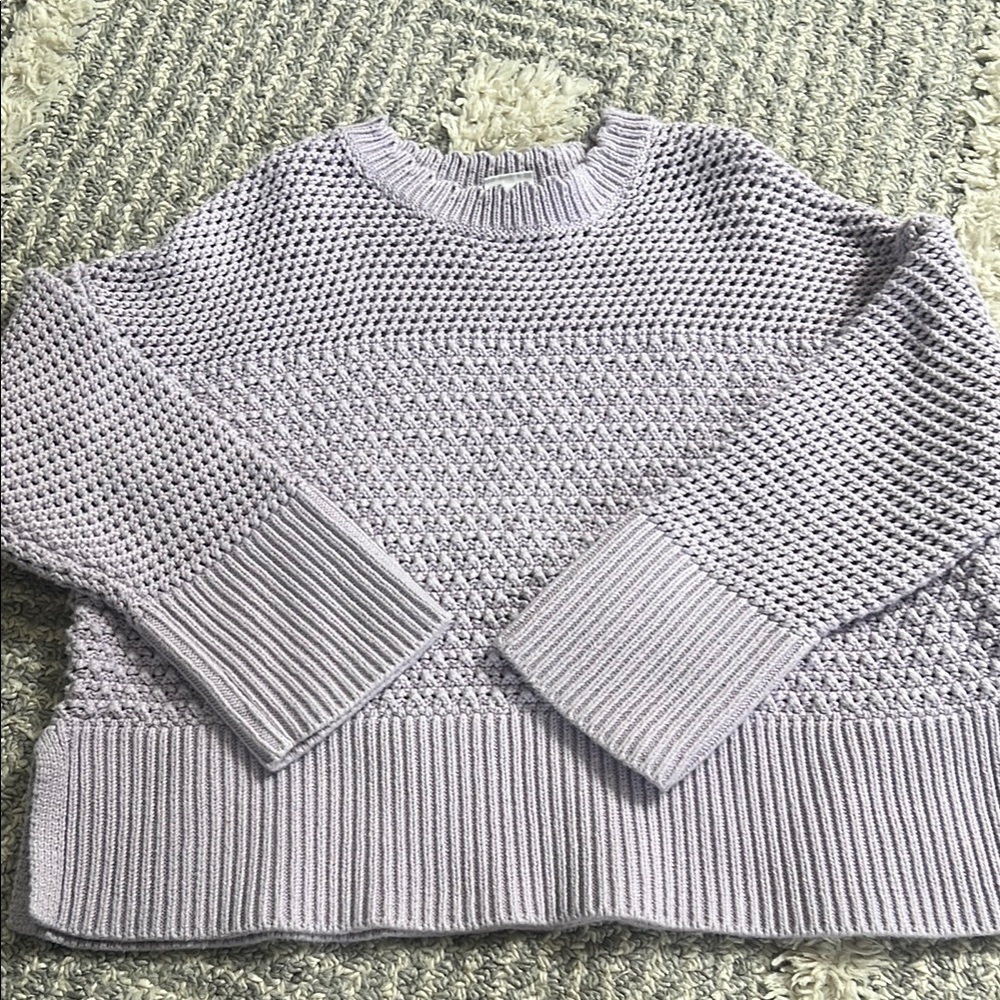GAP Purple Crew Neck Sweater with Textured Knit